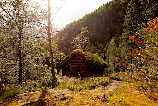 Mulini ad acqua molto antichi con tetti erbosi in Norvegia