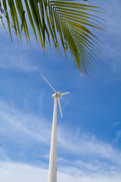 Mulino a vento vicino alla spiaggia per energia verde