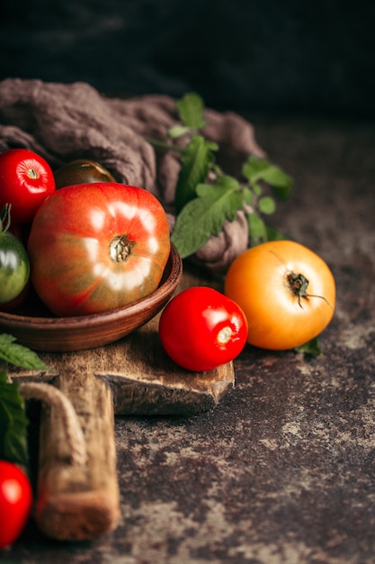 Multi pomodori colorati freschi e maturi su un fondo scuro.