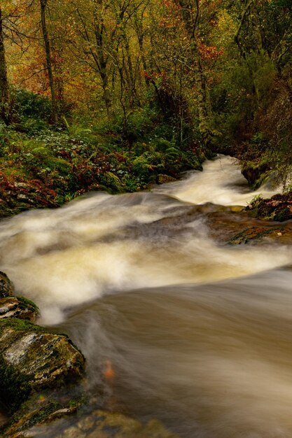 Muniellos riserva naturale completa, tra i comuni di Cangas del Narcea e Ibias.