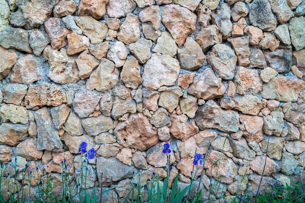 muratura in pietra calcarea. La superficie è decorata con materiale naturale. Il muro è di pietra selvaggia.