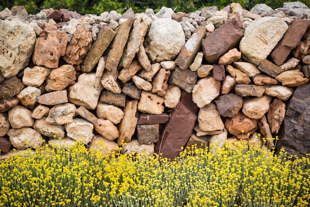 Muratura stonewall in primavera con fiori Minorca