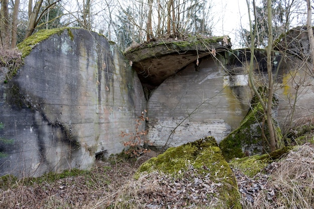 Muro abbandonato nella foresta