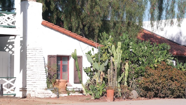 Muro bianco della vecchia casa di villaggio messicana, finestra in legno con persiane, giardino di piante succulente e cactus alti. Esterno rurale della campagna suburbana, ranch provinciale rustico, architettura della fattoria