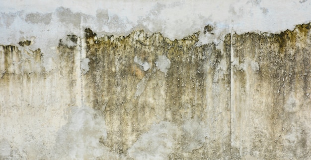 Muro di cemento sporco