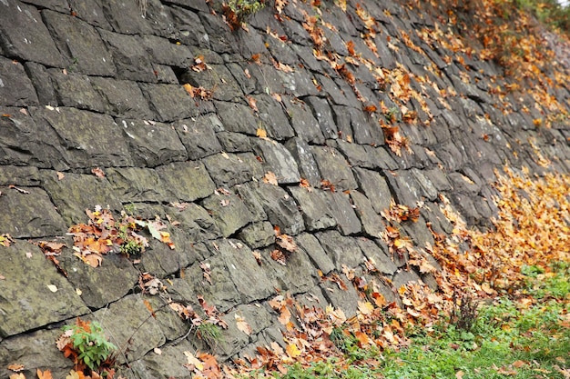 Muro di cemento vicino alla strada