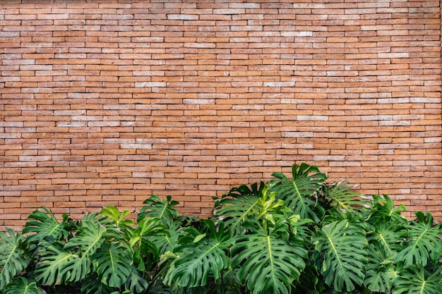 Muro di mattoni con grandi foglie verdi. Concetti di texture e sfondo della parete.