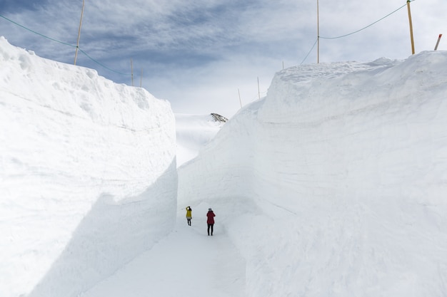 Muro di neve sulla Strada alpina Tateyama Kurobe