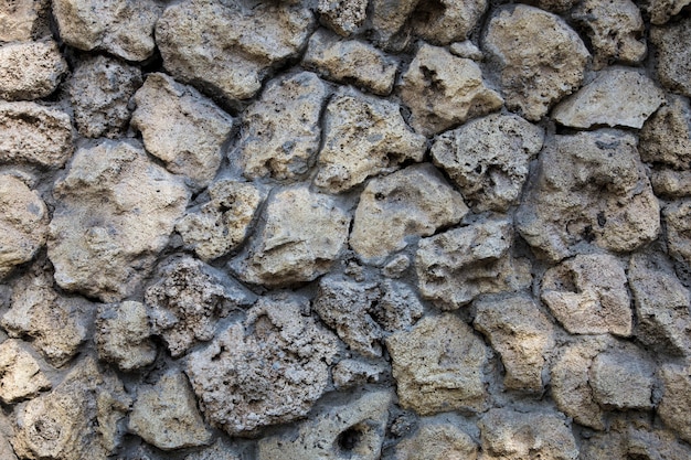 Muro di pietra selvaggia