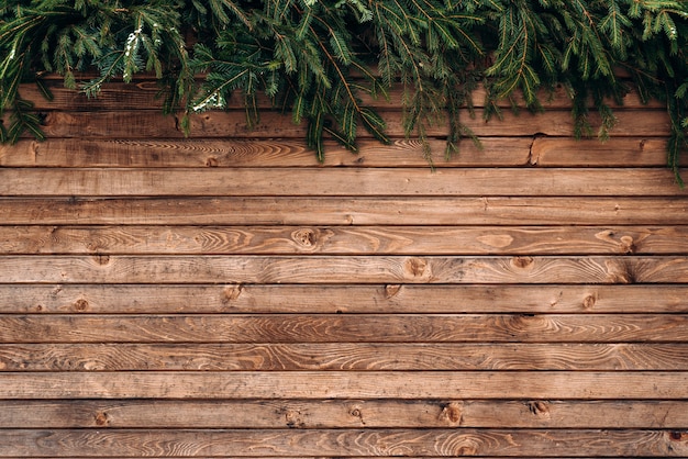 Muro di recinzione in legno. Fondo di legno della plancia di inverno, bordi orizzontali marroni, struttura di legno, recinzione e brunch di abete. Foto d'archivio