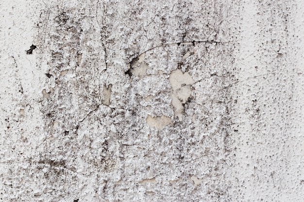 Muro di stucco bianco con vernice che cade e macchie nere di muffa e funghi