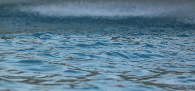 muro di tronchi sull'acqua