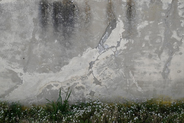 Muro intonacato esterno in cemento grigio con sfondo grunge carta da parati crepa