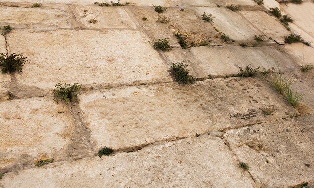 Muro pavimentato con pietre grunge ed erba che cresce tra di loro. Frammento di primo piano