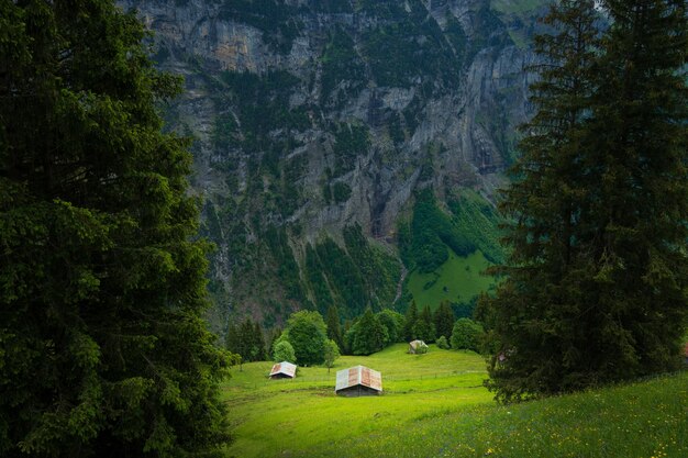 Murren è un comune del comune di Lauterbrunnen nel cantone di Berna in Svizzera