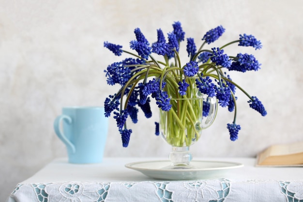 Muscari di giacinto di topo in una tazza di vetro su un tavolo bianco con una tovaglia di pizzo