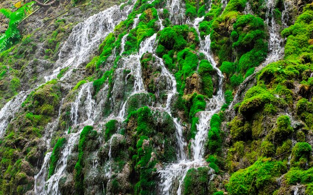 Muschio verde di bellezza su roccia alla cascata