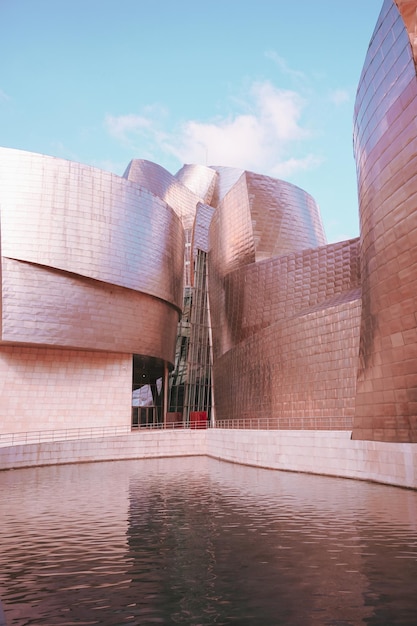 Museo Guggenheim di Bilbao, Paesi Baschi, Spagna, destinazioni di viaggio