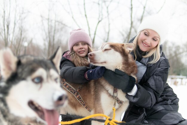 Musher neve fredda natura cane bianco husky inverno canino slitta siberiana alaska slitta