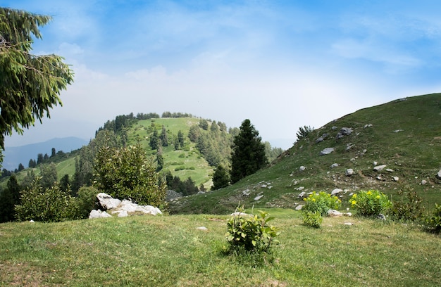 mushkpuri top hill