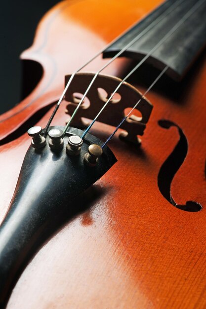 Musica per violino