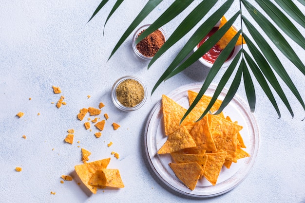 Nachos messicani tradizionali dello spuntino con salsa, le spezie e la palma si ramificano su un fondo bianco