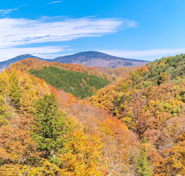 Nakatsugawa Fukushima Autumn