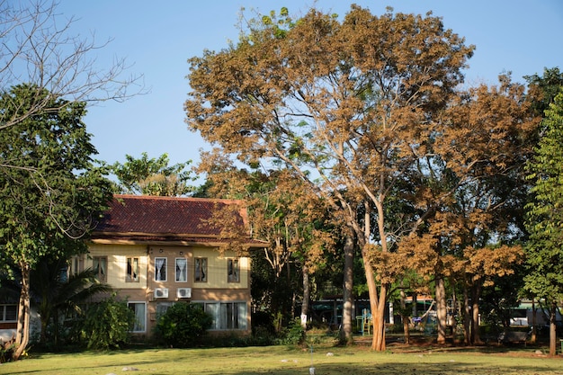 NAKHON RATCHASIMA THAILANDIA 24 NOVEMBRE Edifici hotel resort di lusso e giardino per i viaggiatori le persone usano il servizio e riposano nella città di Pak Chong il 24 novembre 2018 a Nakhon Ratchasima Thailandia