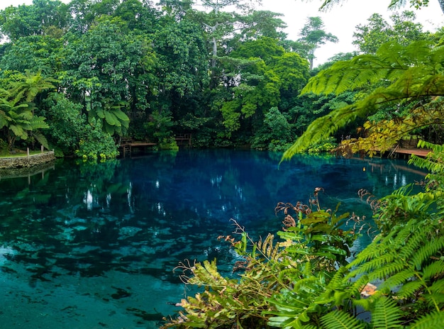 Nanda Blue Hole Espiritu Santo Vanuatu Luganville