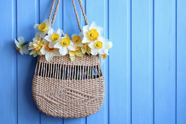 Narcisi fiori da giardino in una borsa estiva di vimini