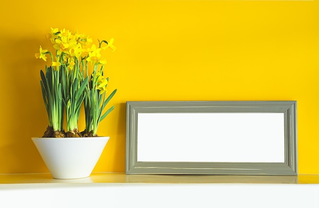 Narcisi gialli in fiore in un vaso di ceramica bianca e una cornice grigia finta su uno scaffale bianco