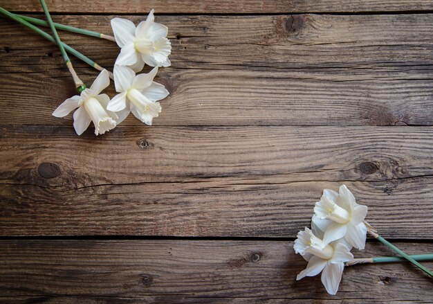 Narcisi su fondo in legno