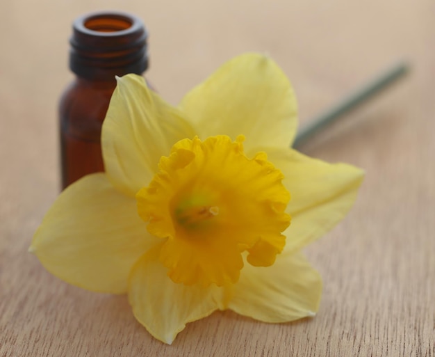 Narciso di fiori con olio essenziale in un barattolo su superficie di legno
