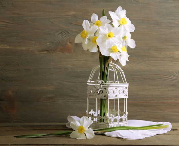 Narciso fresco in gabbia decorativa su sfondo di legno