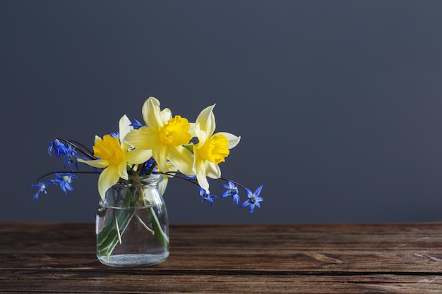 Narciso giallo e bucaneve blu in vaso su tavola di legno su sfondo scuro