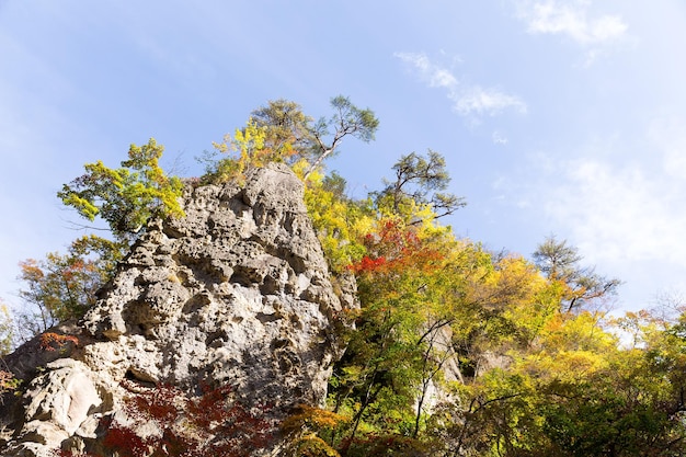 Naruko Gorge Foglie di autunno nella stagione autunnale