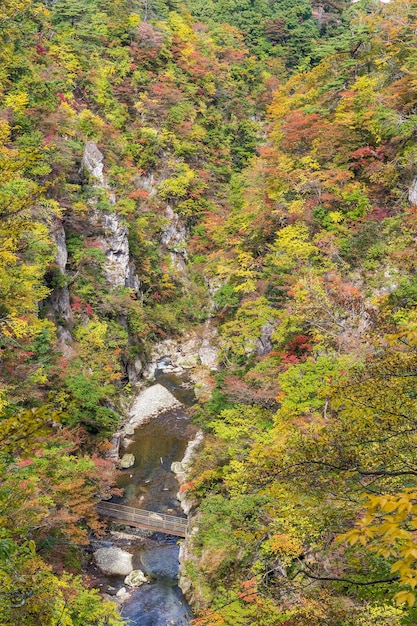 Naruko Gorge Valley con fogliame colorato