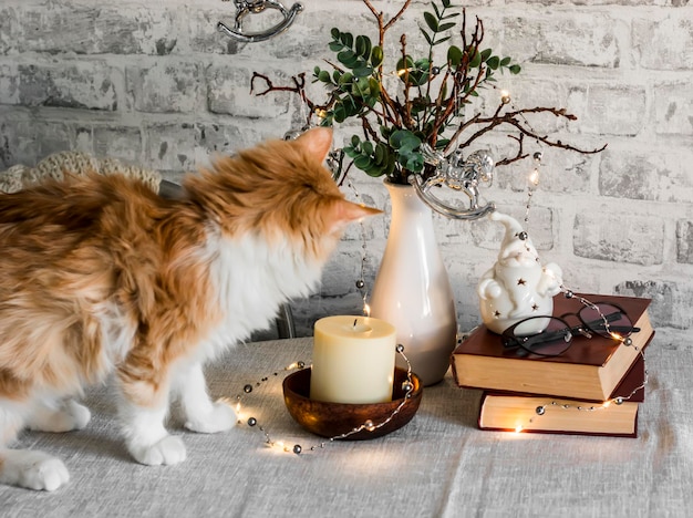 Natale accogliente casa natura morta gattino rosso decorazioni natalizie pila di libri sul tavolo su uno sfondo chiaro