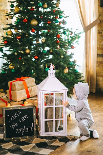 Natale bambino e gatto