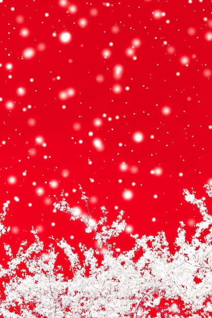 Natale Capodanno sfondo floreale rosso vacanza carta design fiore albero e neve glitter come sfondo di promozione di vendita stagione invernale per il marchio di bellezza di lusso