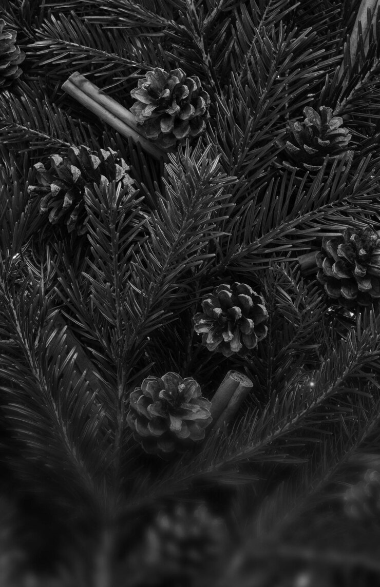 Foto natale .