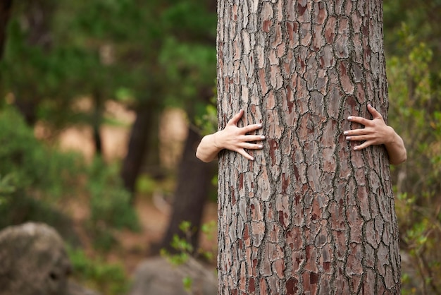 Natura ambiente e persona con un albero abbraccio per la sostenibilità pianeta amore ed ecologia Giornata della terra della foresta e mani che abbracciano gli alberi per mostrare cura per la deforestazione dei boschi e il cambiamento climatico