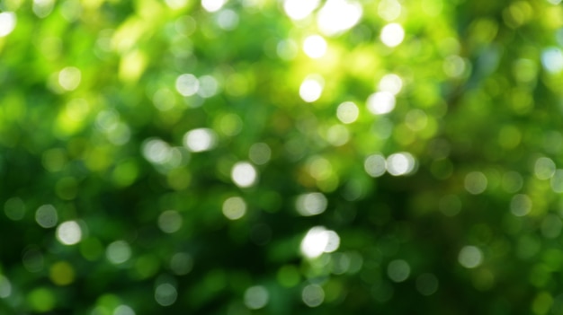 natura astratta sfondo bokeh foglie verdi primaverili meravigliosamente sfocate in bokeh verde