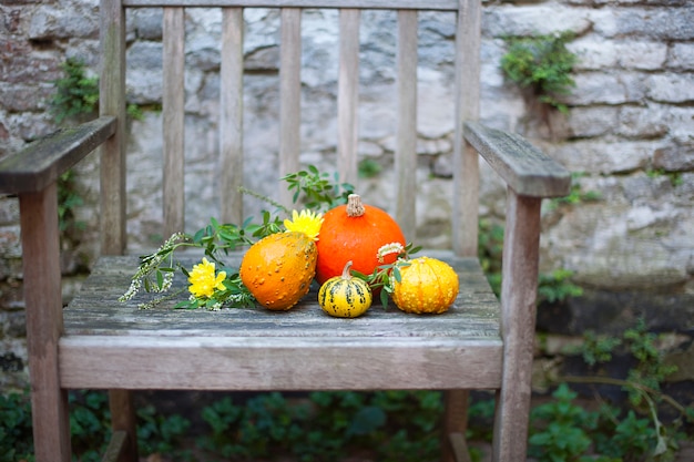 Natura autunnale. Caduta di frutta su legno. Ringraziamento. verdure autunnali su una vecchia sedia in giardino