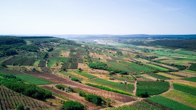 Natura con campo verde e cielo blu