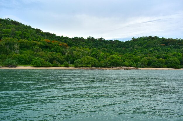 natura da spiaggia dcean