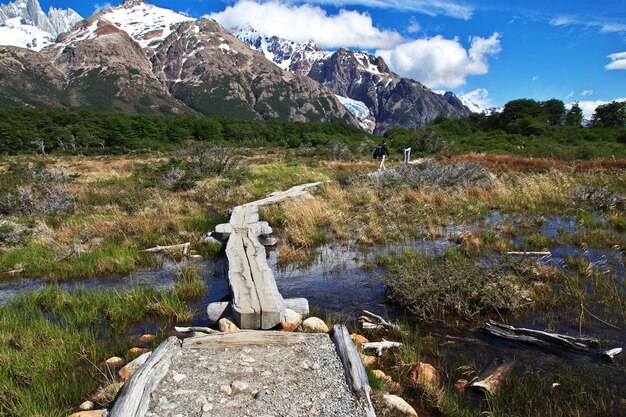 Natura del monte Fitz Roy vicino a El Chalten in Patagonia, Argentina