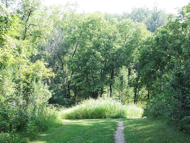 natura del paesaggio