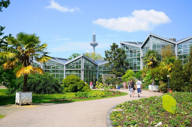 Natura del Palmen Garten Francoforte sul Meno Assia Germania