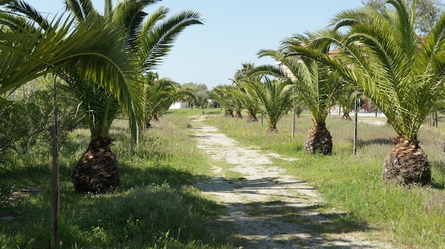 natura del Portogallo